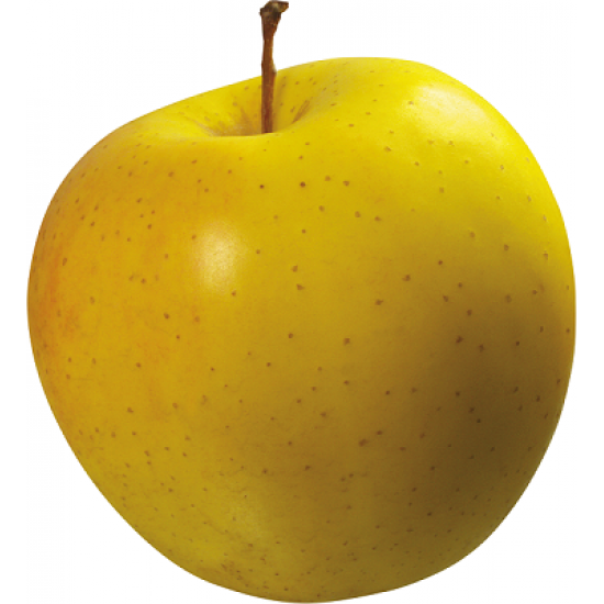 نهال سیب زرد